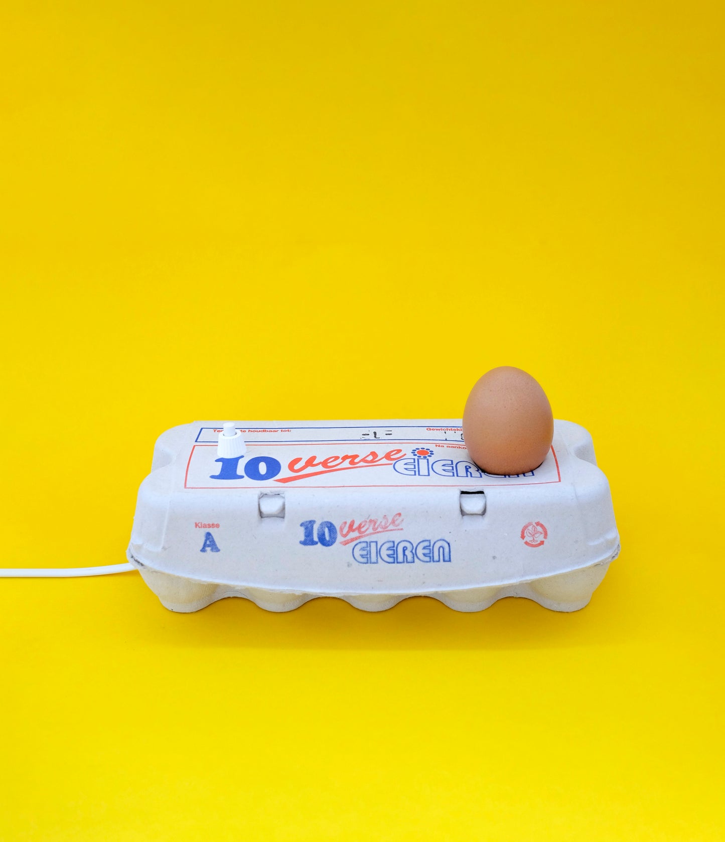 Eggbox Lamp