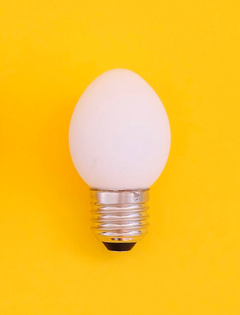 Egglamp White