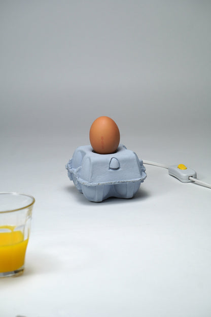 EggboxLAMP