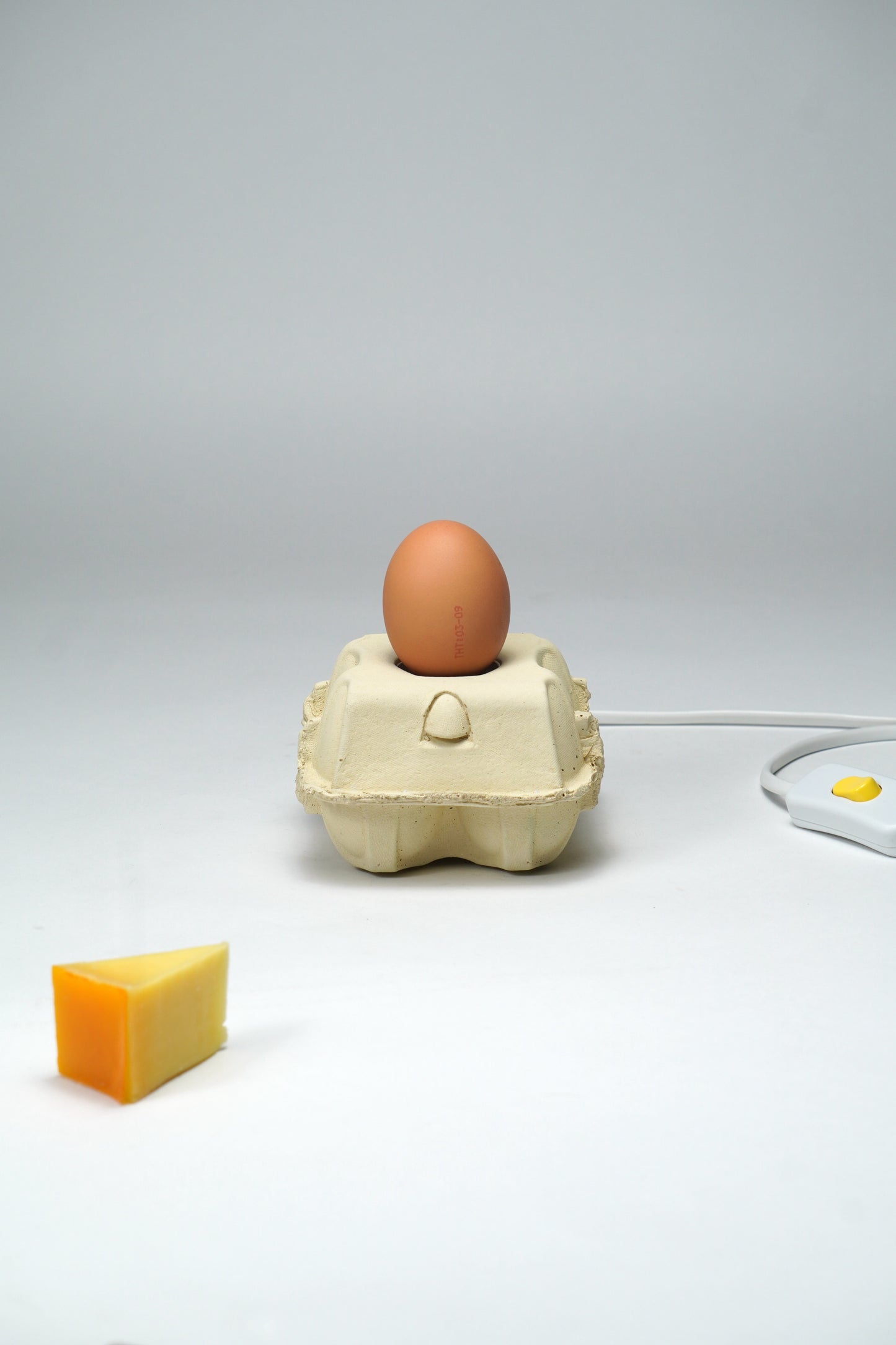 EggboxLAMP